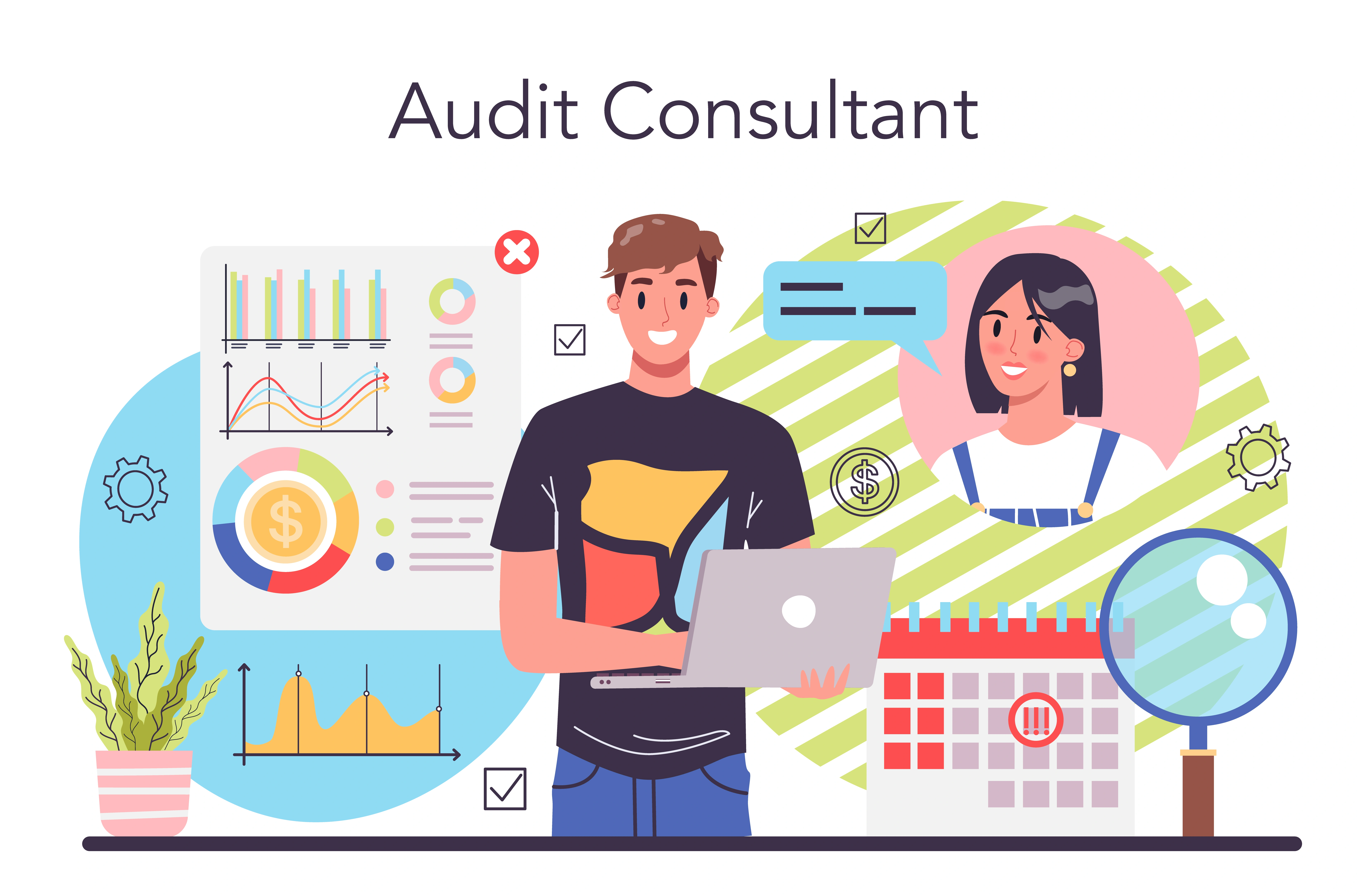 statutory audit